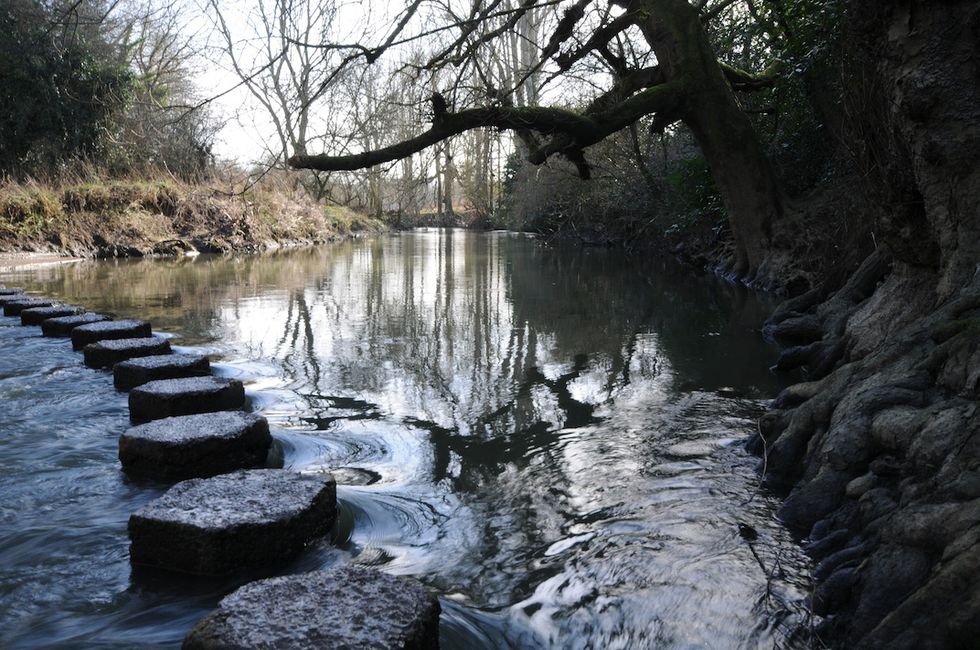 Photography Walks Stepping Stones Box Hill Dorking Essential